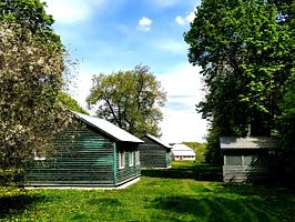 Двухкомнатный коттедж в реликтовом лесу, Туристическая база Бояринцево, Бояринцево