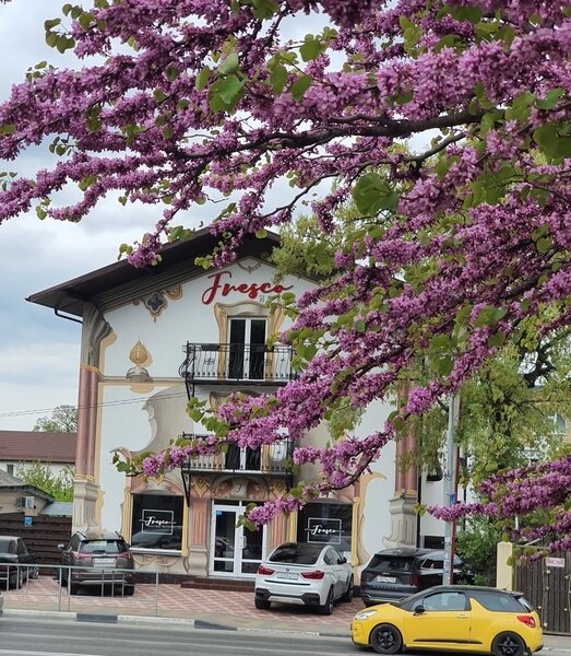 Бутик-отель Фреско, Краснодарский край, Геленджик 