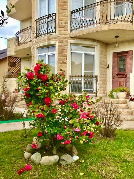 Гостиница Аристократ (Aristokrat), Краснодарский край, Сириус 