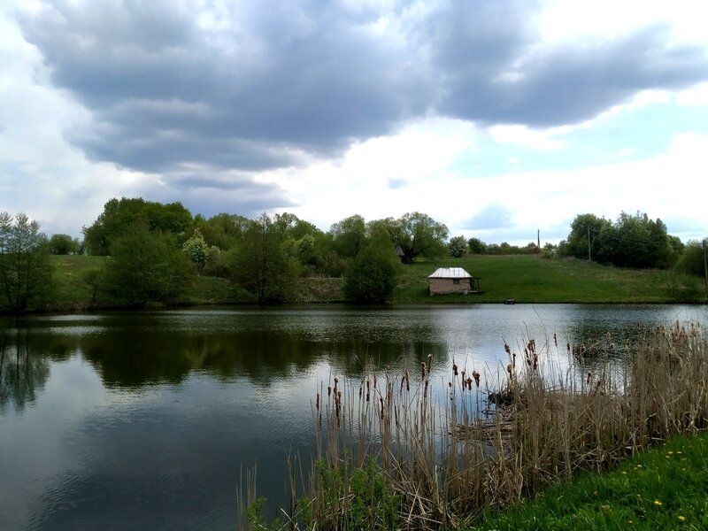 Бояринцево, Рязанская область: фото 3