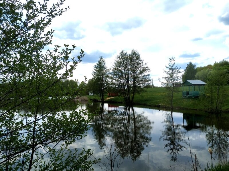 Бояринцево, Рязанская область: фото 4