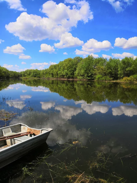 Дары Дона, Волгоградская область: фото 5