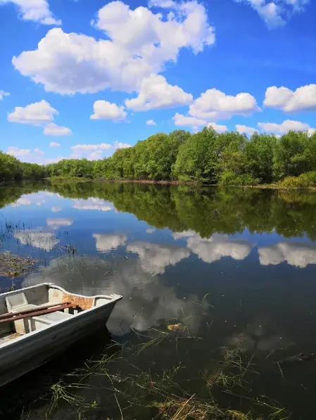 Дары Дона, Волгоградская область: фото 5