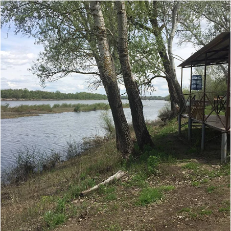 Дары Дона, Волгоградская область: фото 4