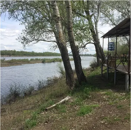 Дары Дона, Волгоградская область: фото 4