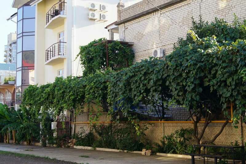 Задний двор | Марина, Краснодарский край