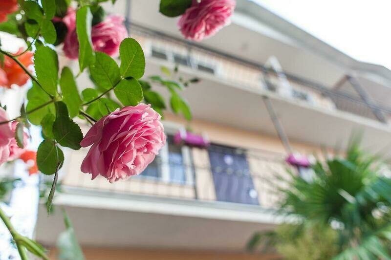 Внешний вид, территория | София, Краснодарский край