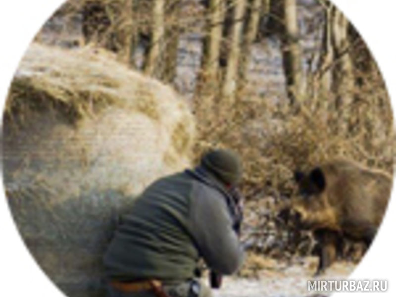 База отдыха «Экоферма на Рязановке»