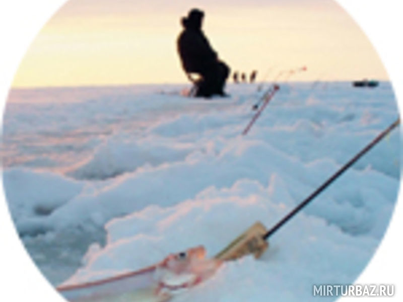 База отдыха «Экоферма на Рязановке»