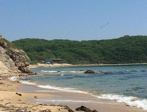 База отдыха «Лагуна» | Лагуна, Приморский край