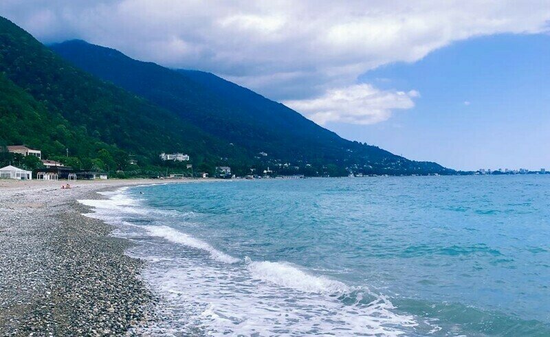 Пальмовая роща | Пальмовая роща, Гагрский район