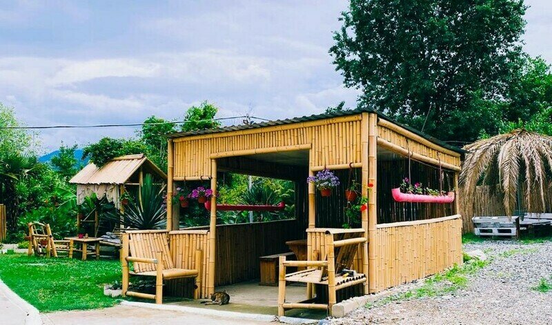 Пальмовая роща | Пальмовая роща, Гагрский район