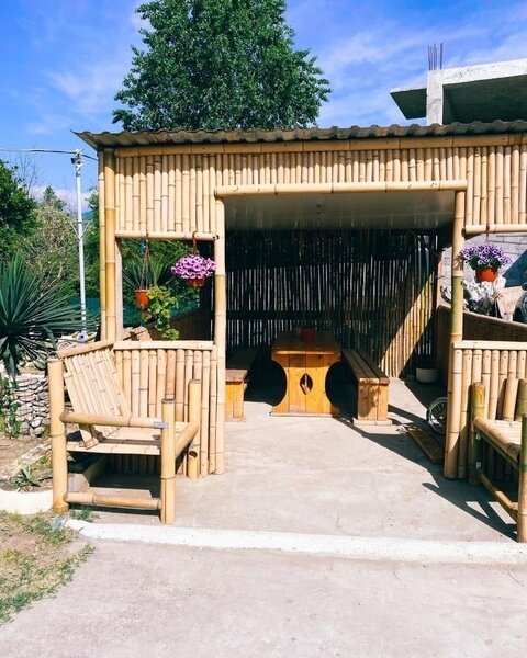 Пальмовая роща | Пальмовая роща, Гагрский район