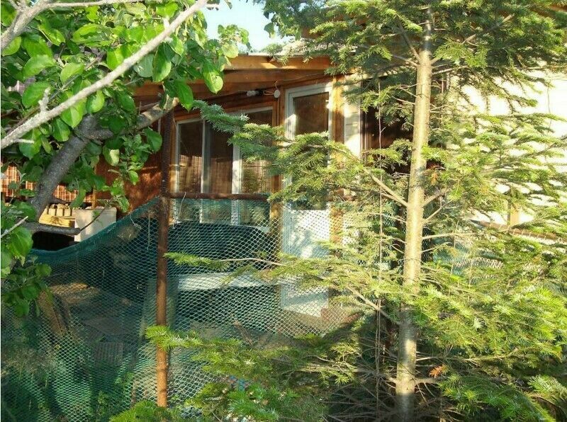 База отдыха Ливадия-Хутор, Приморский край, Ливадия 