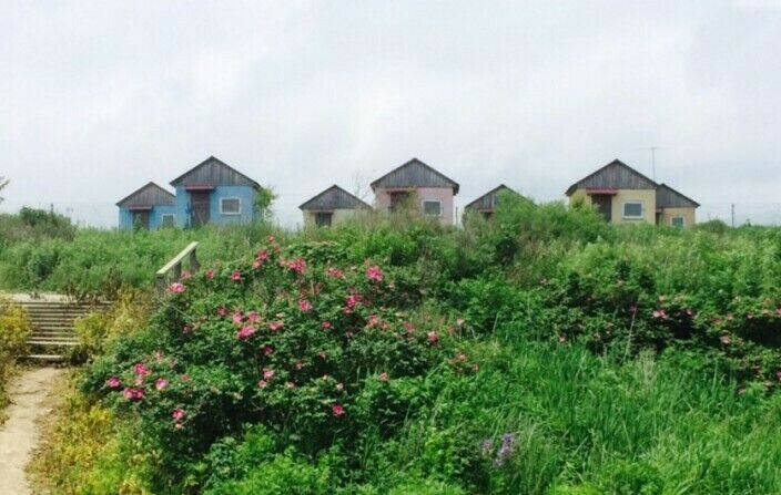 База отдыха-экоферма «Лидер» | Экоферма Лидер, Приморский край