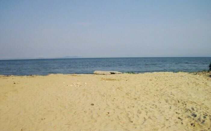 База отдыха-экоферма «Лидер» | Экоферма Лидер, Приморский край