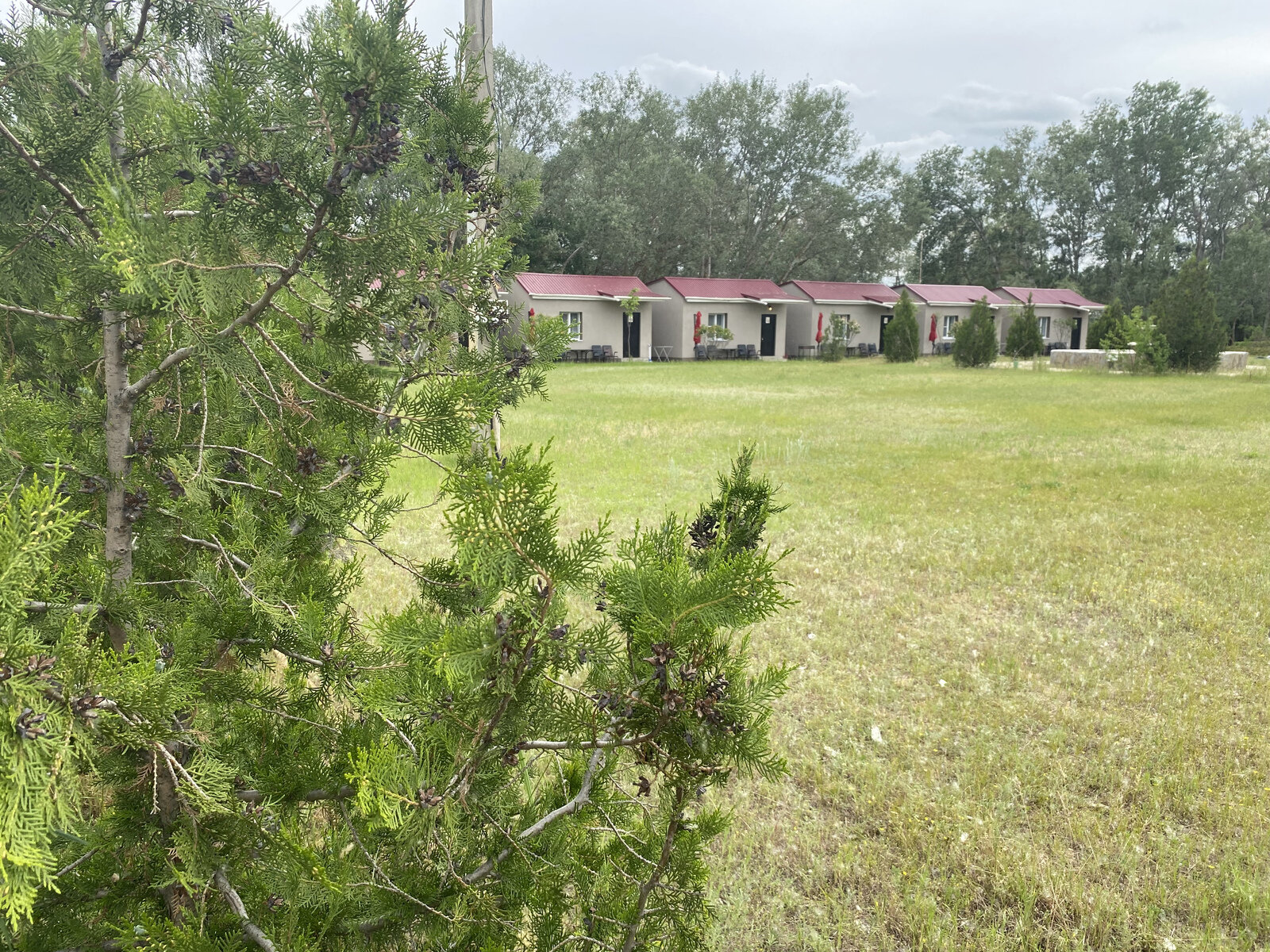 Фото 223 из отзыва о базе отдыха Донская Миля