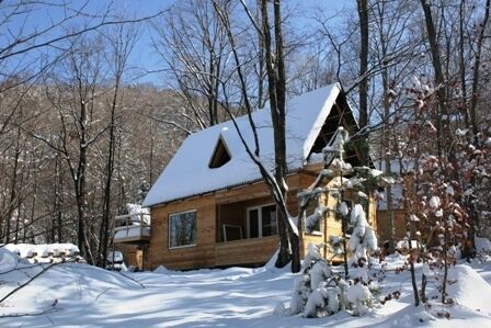 База семейного отдыха Простоквашино, село Анисимовка, Приморский край