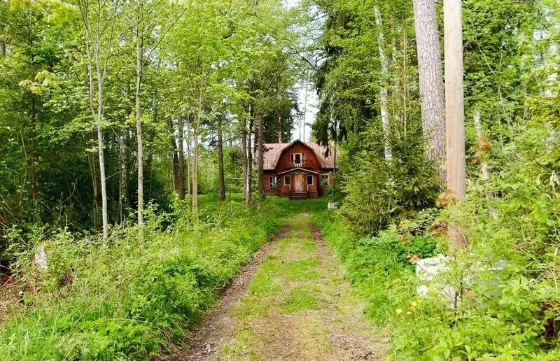 Ампиала, Ленинградская область: фото 3