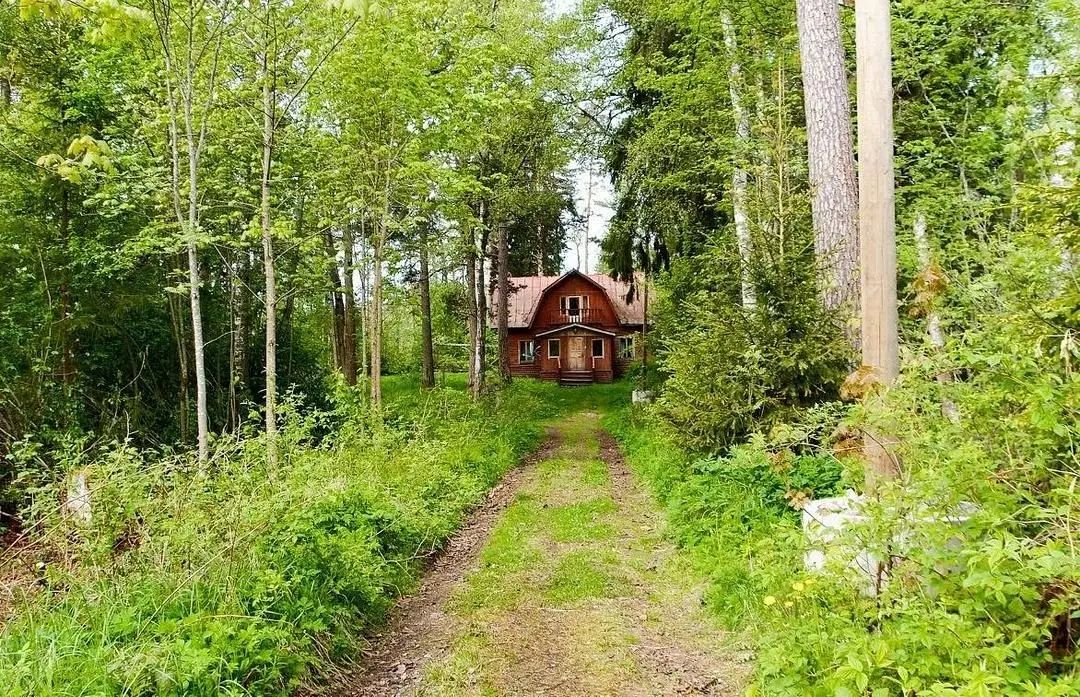 Ампиала, Ленинградская область: фото 3