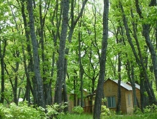 База отдыха «Мыс Красный» | Мыс Красный, Приморский край