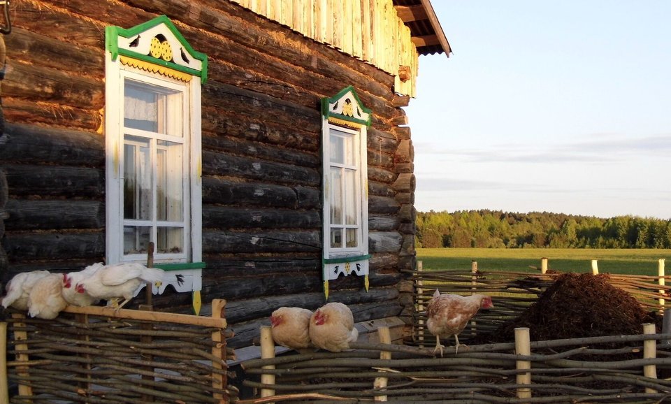 Золотая подкова, Тюменская область: фото 3
