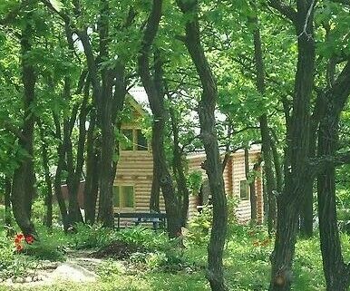 Коттедж «Наша дача» | Наша дача, Приморский край