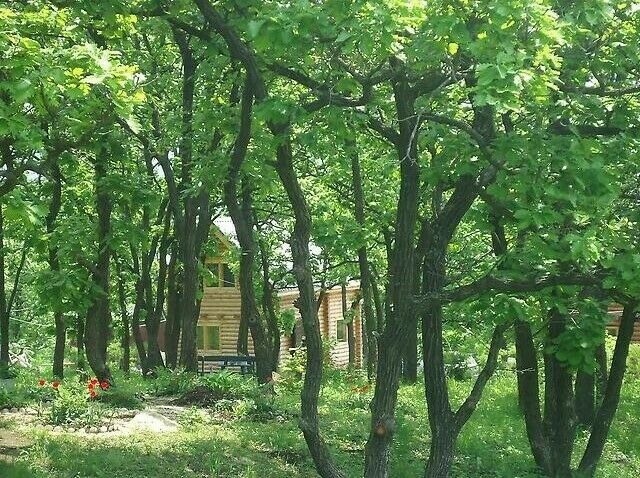 Коттедж «Наша дача» | Наша дача, Приморский край