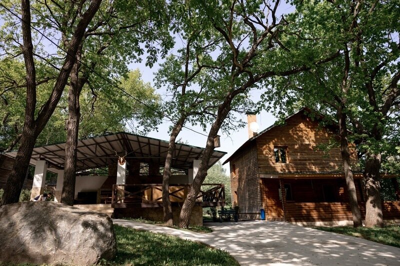 Заячьи ушки, Саратовская область: фото 4