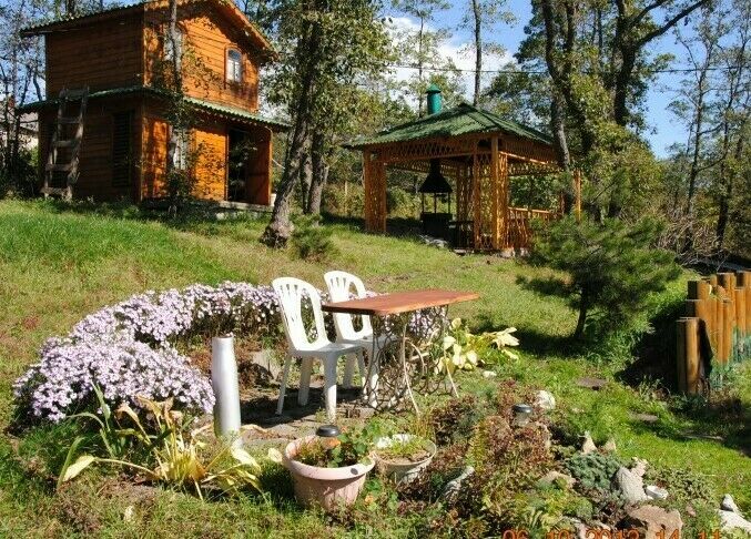 База отдыха «Ольховая» | Ольховая, Приморский край