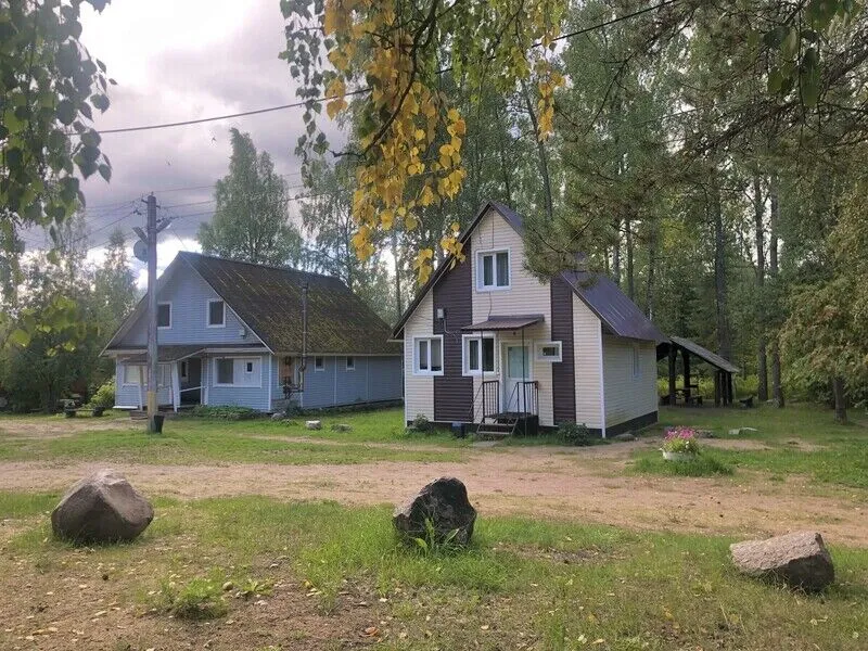 Кот Матроскин, Ленинградская область: фото 5