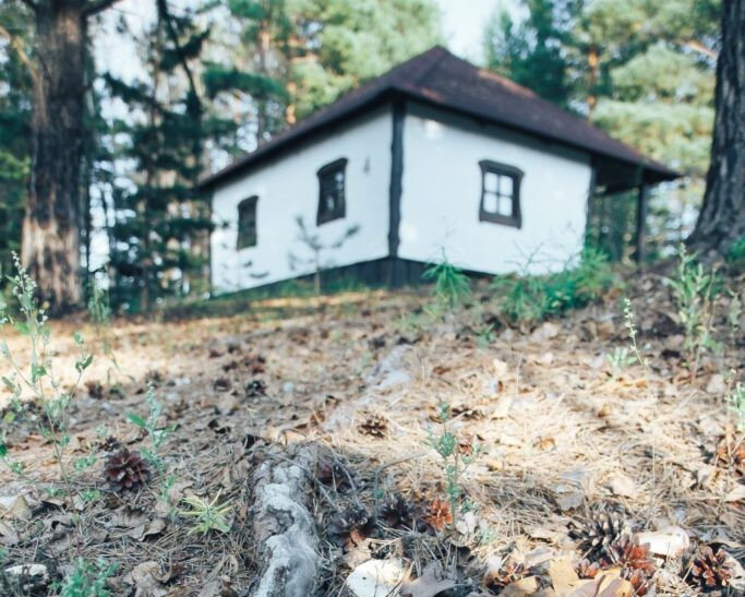 Старый Хутор, Алтайский край: фото 4