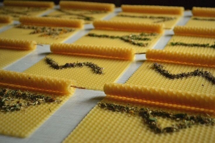 Медовая свеча