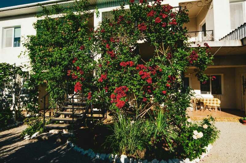 Medine (Медине), Крым: фото 4