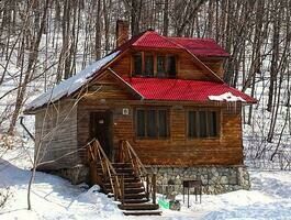 Домик «Скандинавия», База семейного отдыха Бархатная, Шкотовский район