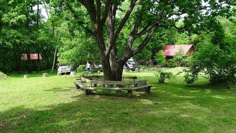 Бархатная, Приморский край: фото 2