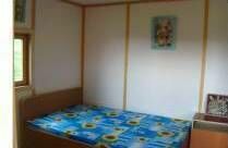 Мичурина, Приморский край: фото 4