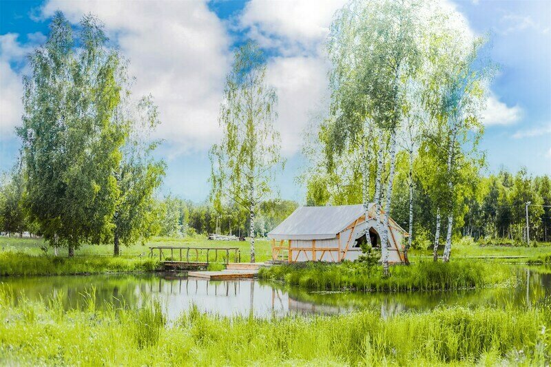 Легенды леса, Ярославская область: фото 4