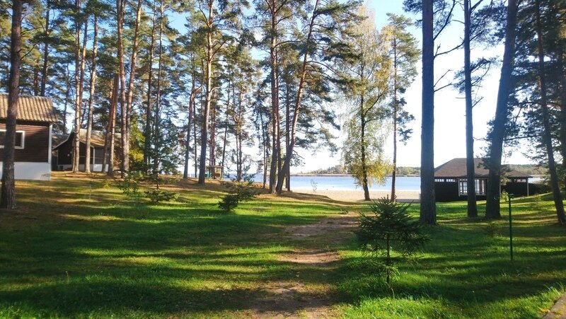 Лукоморье, Псковская область: фото 3