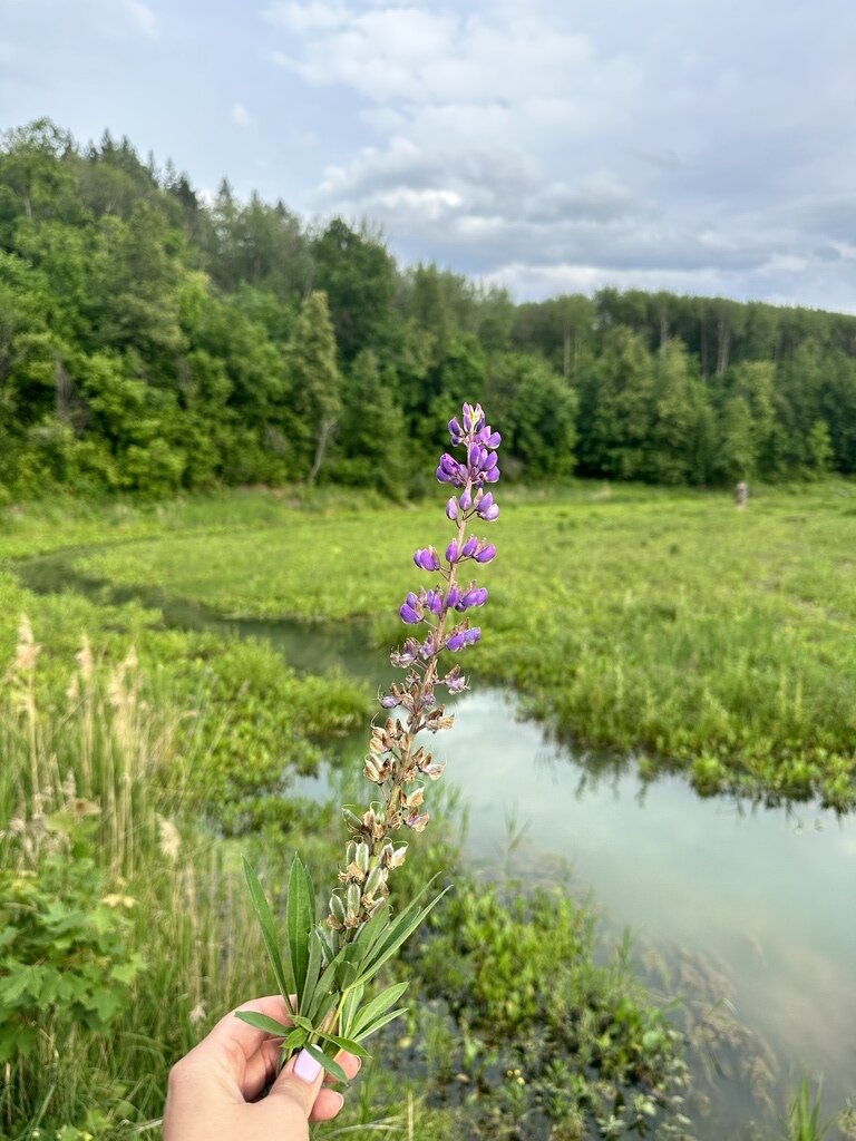 Фото из отзыва от 09.06.2023
