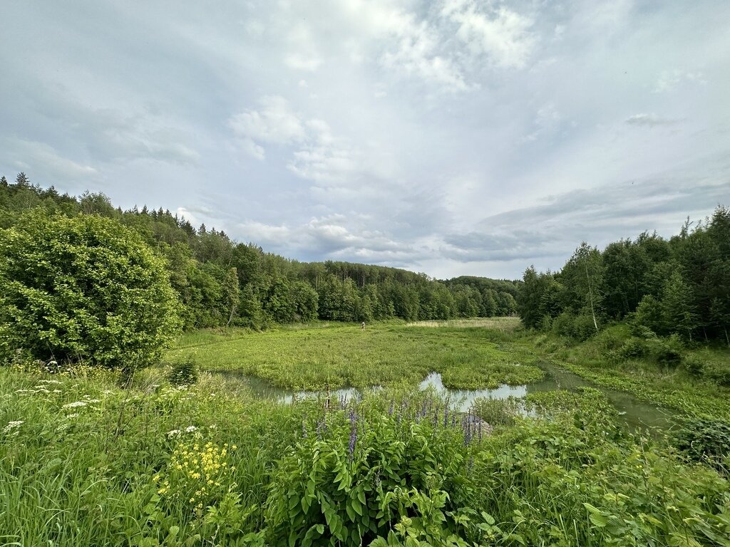 Фото из отзыва от 09.06.2023