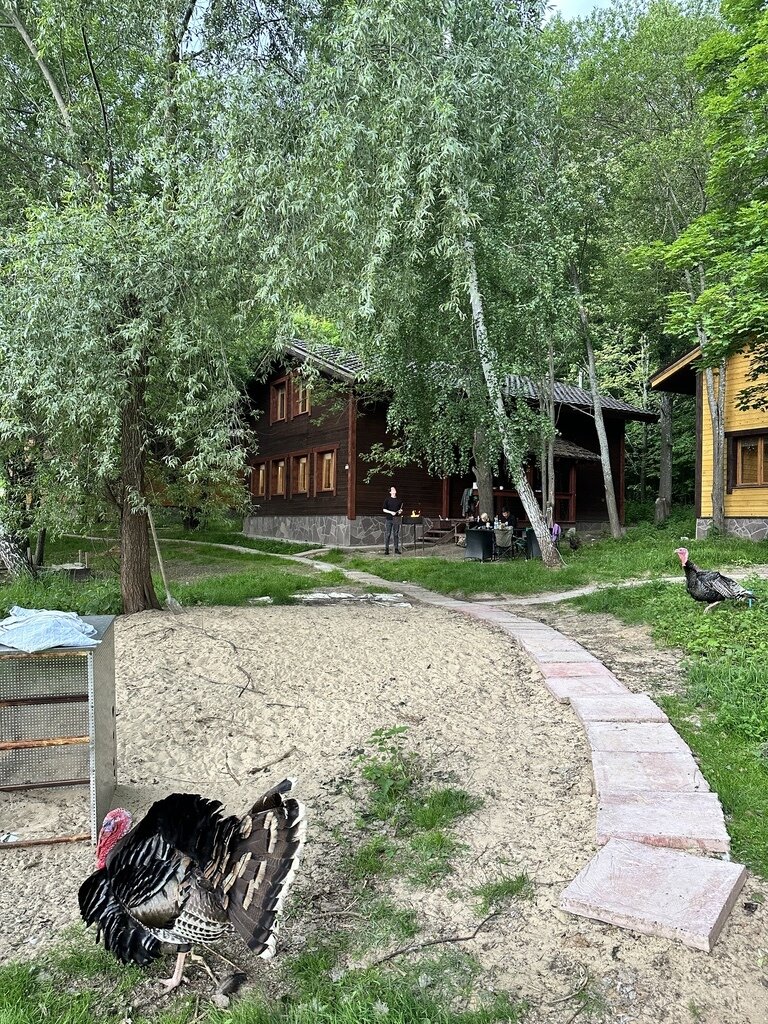 Фото из отзыва от 09.06.2023