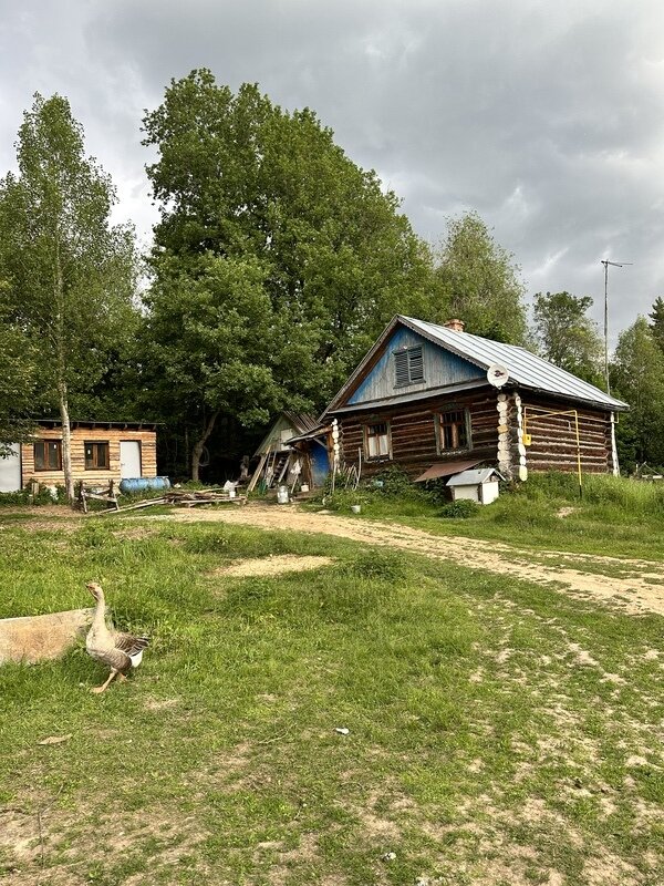 Фото 5 из отзыва об эко-отеле Пространство