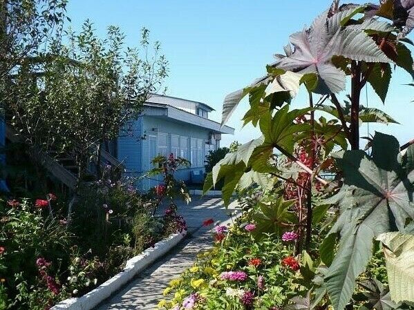 База отдыха «Семейная» | Семейная, Приморский край