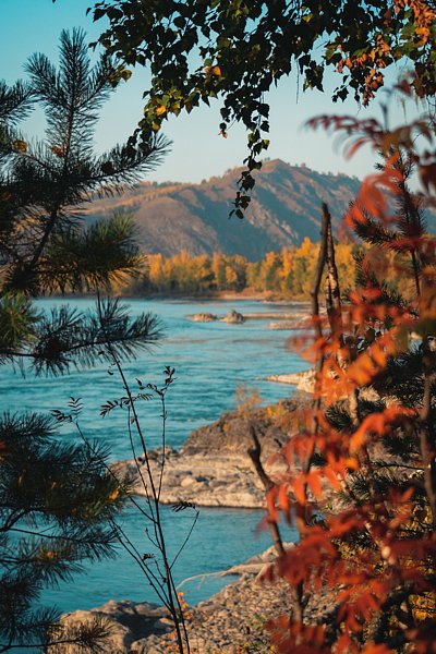 Golden time, Горный Алтай (Республика Алтай): фото 4