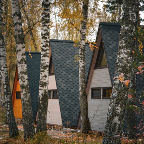 Golden time, Горный Алтай (Республика Алтай): фото 2