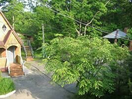 Летний домик, База отдыха Тигровое, Владивосток