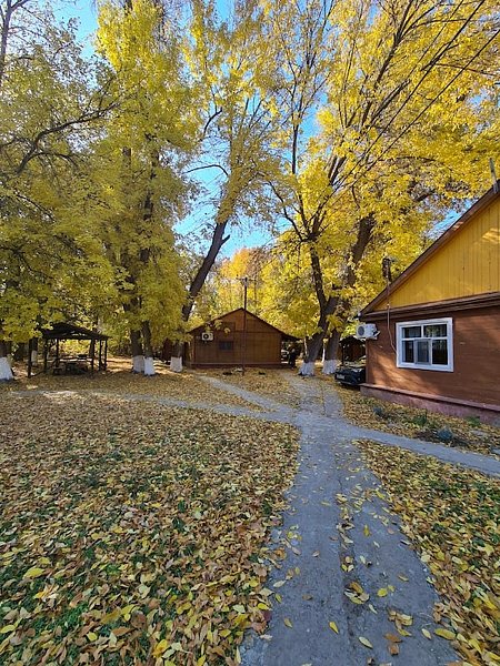 База отдыха Надежда, Астраханская область, Камызякский район село Жан-Аул поселок Верхнекалиновский