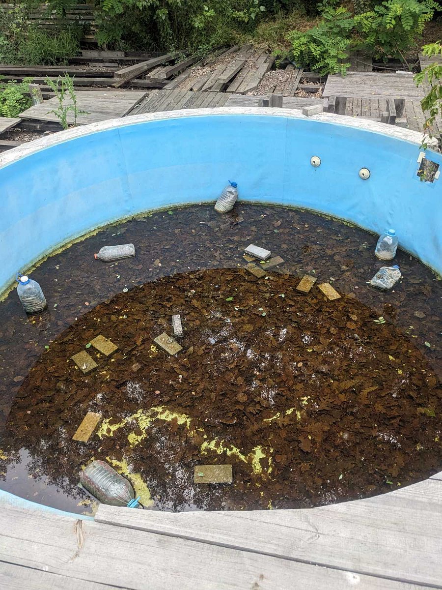 Фото 12 из отзыва о базе отдыха Лада