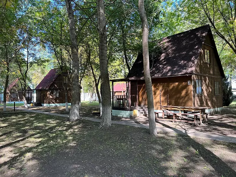 Лебедь, Астраханская область: фото 3